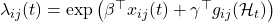 \lambda_{ij}(t)=\exp\left(\beta^\top x_{ij}(t) + \gamma^\top g_{ij}(\mathcal{H}_t)\right)