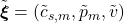 \tilde{\boldsymbol{\xi}} = (\tilde{c}_{s,m}, \tilde{p}_m, \tilde{v})